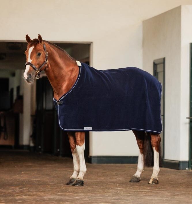 Dominick Deken Navy Wol
